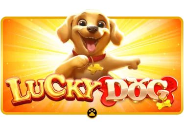Cricket football and casino-style entertainment overview on bd 5777 platform